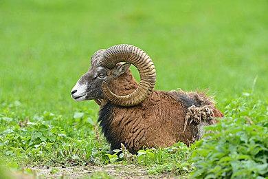 《塞尔达传说：旷野之息》隐藏在水下的宝箱终于被打开