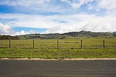《合金装备》艺术总监：我们在角色屁股上花了很多功夫